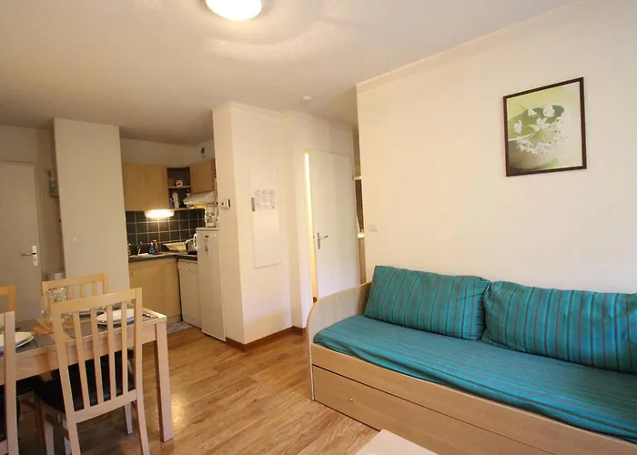 Apartamento T2 Avec Balcon, Parking Et Lave-linge Pres Du Parc - Fr-1-313-235 *